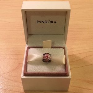 Pandora Charm